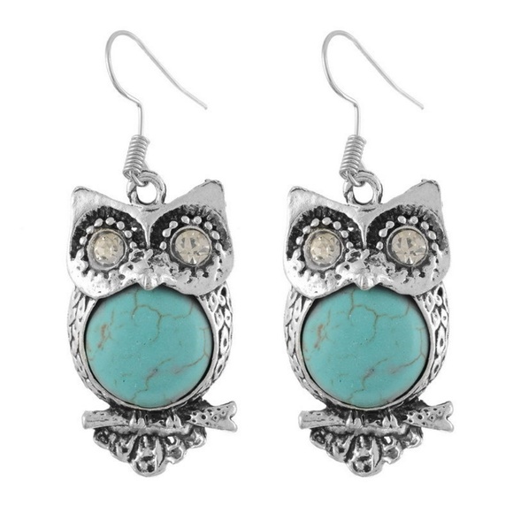 Cinderella's Closet Jewelry - Charming Crystal Turquoise Owl Dangle Earrings